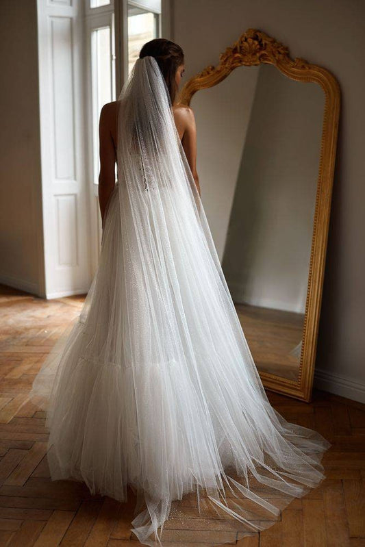 Glittery  cathedral wedding veil May